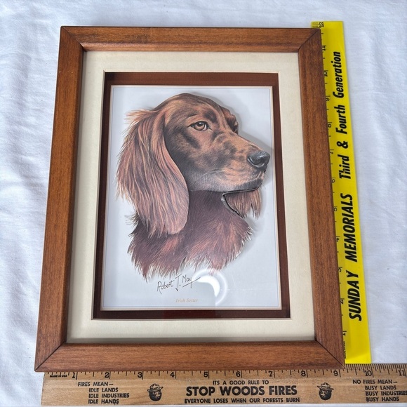 Irish Setter Dog 3D Print Signed By Artist Robert J. May Wooden Frame 9 X 11.5 - Picture 2 of 11
